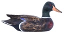 Canard Wood (16) - Mix Colour (Set de 2)