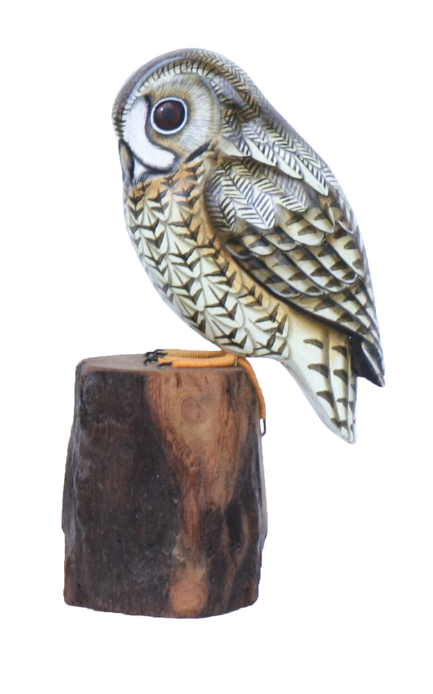 Hibou Wood (23) - Brun + Noir + Blanc