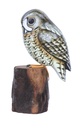 Hibou Wood (23) - Brun + Noir + Blanc