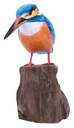 Martin-Pêcheur Stand Wood (17) - Bleu + Orange + Blanc