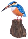 Martin-Pêcheur Stand Wood (17) - Bleu + Orange + Blanc