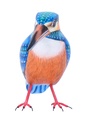 Martin-Pêcheur Wood (11) - Bleu + Orange + Blanc