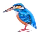 Martin-Pêcheur Wood (11) - Bleu + Orange + Blanc