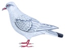 Colombe Wood (18) - Blanc + Gris