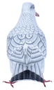 Colombe Wood (18) - Blanc + Gris