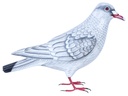 Colombe Wood (18) - Blanc + Gris