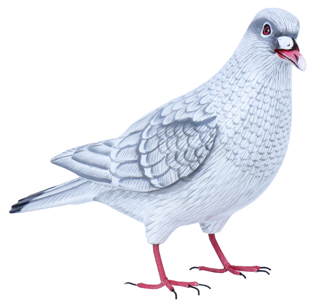 Colombe Wood (18) - Blanc + Gris