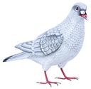 Colombe Wood (18) - Blanc + Gris