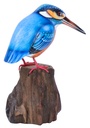 Martin-Pêcheur Stand Wood (17) - Bleu + Orange + Blanc
