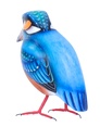 Martin-Pêcheur Wood (11) - Bleu + Orange + Blanc