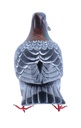 Pigeon Wood (18) - Gris + Brun + Vert