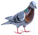 Pigeon Wood (18) - Gris + Brun + Vert