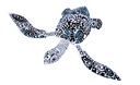 Turtle Dali (32) - Noir + Blanc