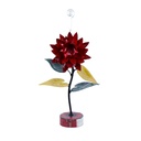 Fleur Stand Up (43) - Mix Couleur