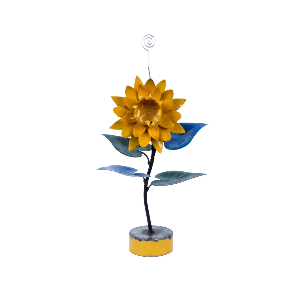 Fleur Stand Up (43) - Mix Couleur