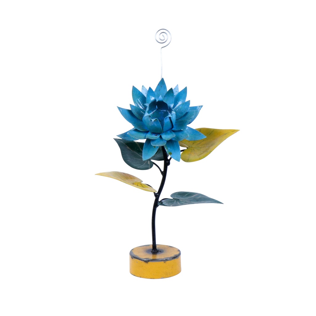 Fleur Stand Up (43) - Mix Couleur