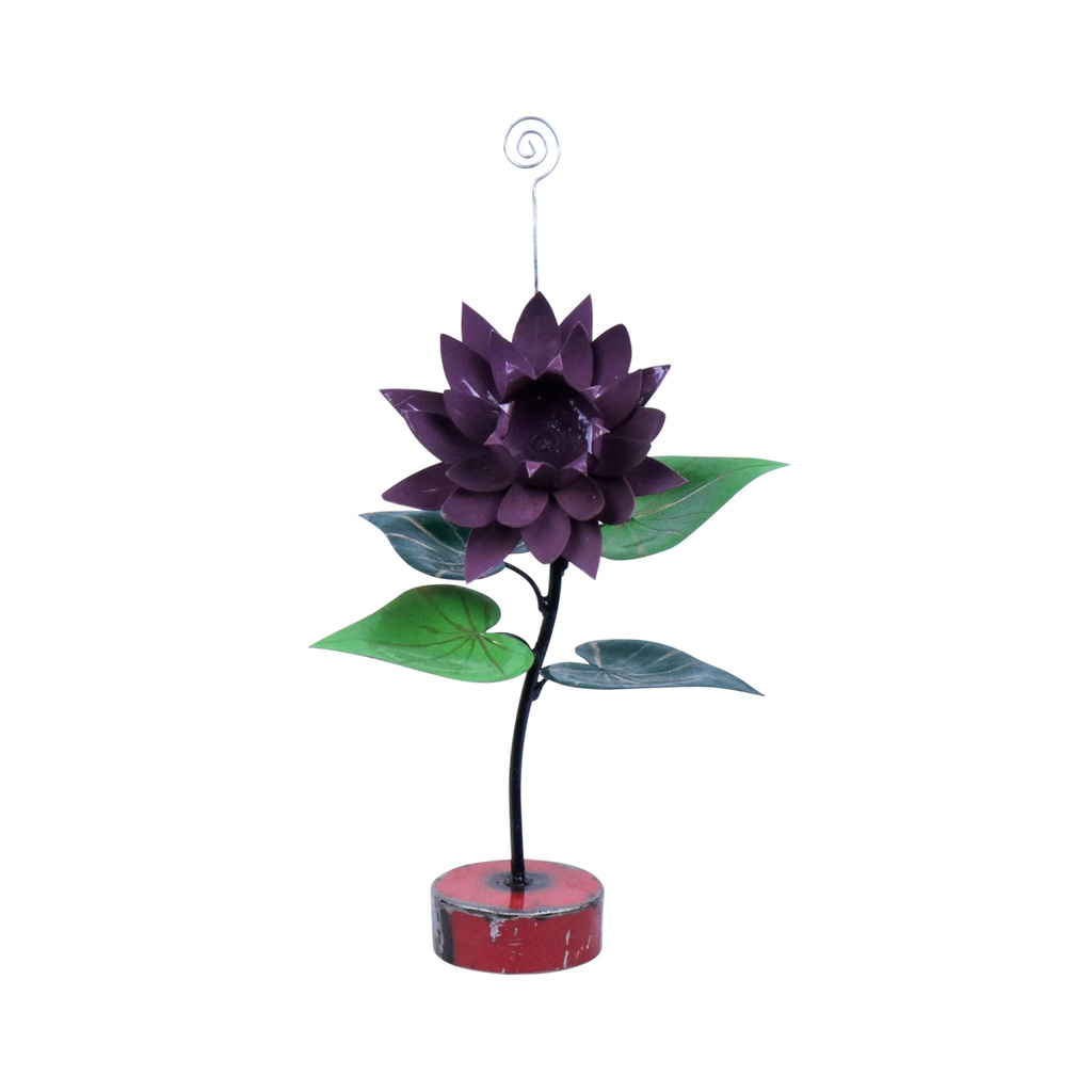Fleur Stand Up (43) - Mix Couleur
