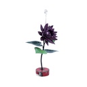 Fleur Stand Up (43) - Mix Couleur