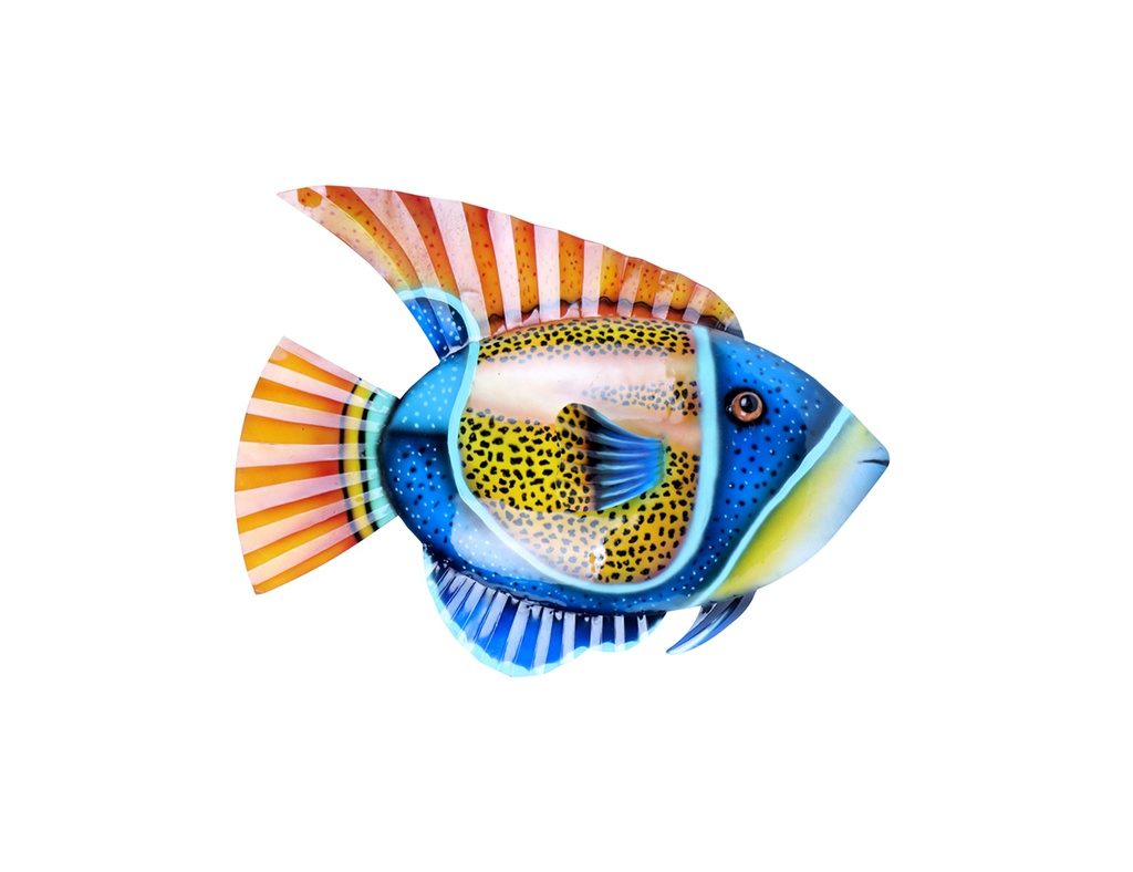 Pimp Poisson (65) - Bleu + Jaune + Orange + Rouge