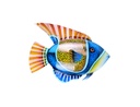 Pimp Poisson (65) - Bleu + Jaune + Orange + Rouge
