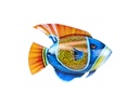 Pimp Poisson (65) - Bleu + Jaune + Orange + Rouge