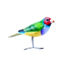 Bird Wood (10) - Mix Couleur & Modèle (Minimum 12 pcs)
