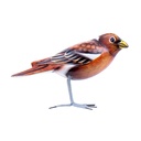 Bird Wood (10) - Mix Couleur & Modèle (Minimum 12 pcs)