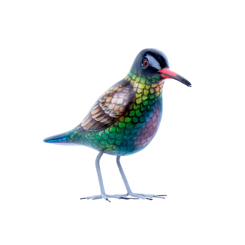 Colibri Wood (10) - Vert + Bleu + Brun + Noir