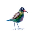 Colibri Wood (10) - Vert + Bleu + Brun + Noir