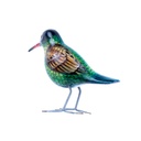 Colibri Wood (10) - Vert + Bleu + Brun + Noir