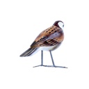 Bird Wood (10) - Mix Couleur & Modèle (Minimum 12 pcs)