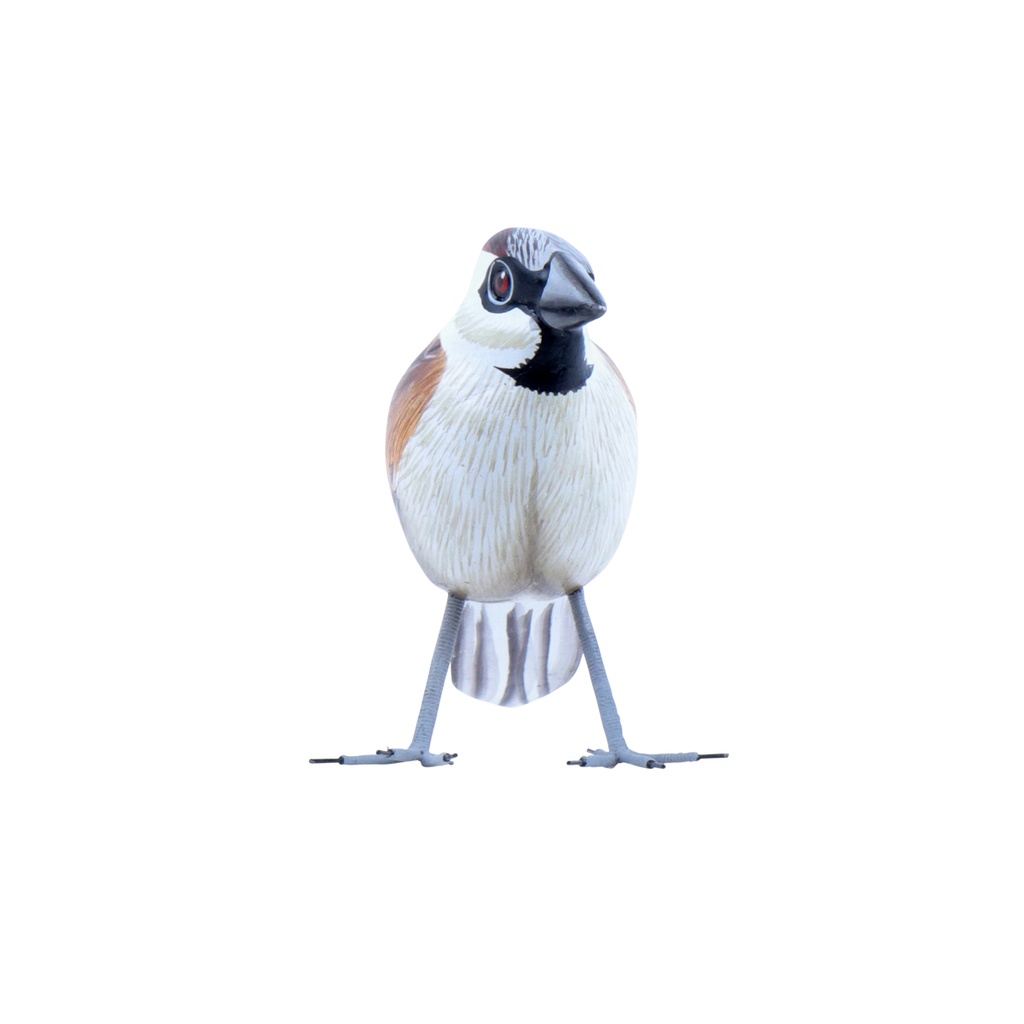 Bird Wood (10) - Mix Couleur & Modèle (Minimum 12 pcs)