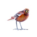 Bird Wood (10) - Mix Couleur & Modèle (Minimum 12 pcs)