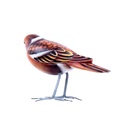 Bird Wood (10) - Mix Couleur & Modèle (Minimum 12 pcs)