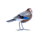 Bird Wood (10) - Mix Couleur & Modèle (Minimum 12 pcs)