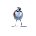 Bird Wood (10) - Mix Couleur & Modèle (Minimum 12 pcs)
