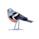 Bird Wood (10) - Mix Couleur & Modèle (Minimum 12 pcs)