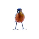 Bird Wood (10) - Mix Couleur & Modèle (Minimum 12 pcs)