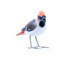 Bird Wood (10) - Mix Couleur & Modèle (Minimum 12 pcs)