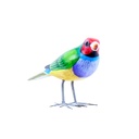 Bird Wood (10) - Mix Couleur & Modèle (Minimum 12 pcs)