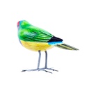 Bird Wood (10) - Mix Couleur & Modèle (Minimum 12 pcs)