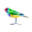 Bird Wood (10) - Mix Couleur & Modèle (Minimum 12 pcs)