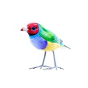 Bird Wood (10) - Mix Couleur & Modèle (Minimum 12 pcs)