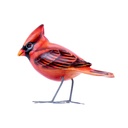 Bird Wood (10) - Mix Couleur & Modèle (Minimum 12 pcs)