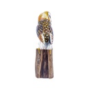 Chouette Effraie Wood (20) - Brun + Blanc