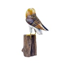 Chouette Effraie Wood (20) - Brun + Blanc