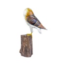 Chouette Effraie Wood (20) - Brun + Blanc