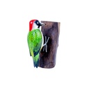 Pic Vert Wood (18) - Vert + Blanc + Noir + Rouge