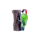 Pic Vert Wood (18) - Vert + Blanc + Noir + Rouge