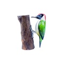 Pic Vert Wood (18) - Vert + Blanc + Noir + Rouge